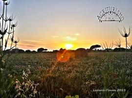 Agriturismo San Matteo, farm stay in Tarquinia