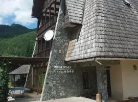 Vila Ursul