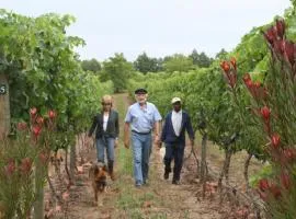 Belfield Wines and Farm Cottages