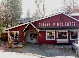 Silver Pines Lodge, užmiesčio svečių namai mieste Idlvaildas