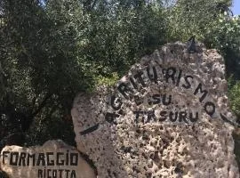 Su Tasuru