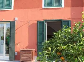 Aeroporto Bellini Rooms