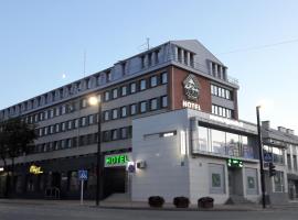 Dzukija Hotel, hotel with parking in Alytus