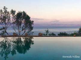 Nereidi Pool Villas, hotel with parking in Porto Ozias