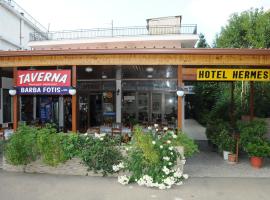 Hotel Hermes, ξενοδοχείο που δέχεται κατοικίδια στην Ολυμπία