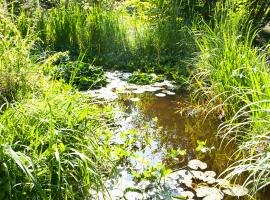 Hotel Käferstein garni, Hotel in Nürnberg