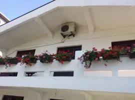 Apartman Tripkovic