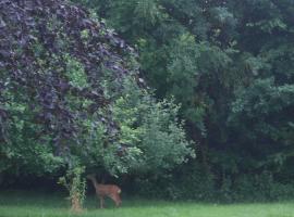 Ringslund B&B, B&B in Galten