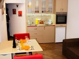 Nikola's Apartment