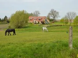 Heu-Ferienhof Altkamp