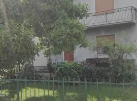 feltrino
