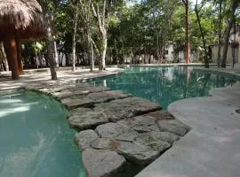 Tropical Paradise Apartment
