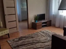Apartment on Brivzemnieka