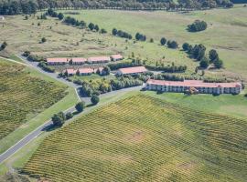 Turners Vineyard Motel, hotel en Orange