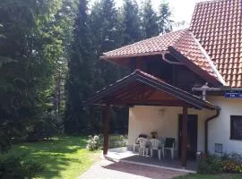 Apartmani U Borovoj Šumi