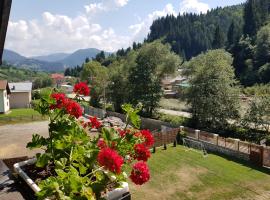 Casa Teodor Rucăr Casă de oaspeți, maison de vacances à Rucăr