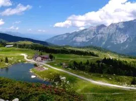 Rifugio Viviani Pradalago