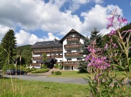 Hotel Thüringer Wald、イルメナウのホテル