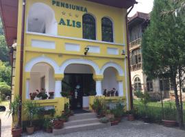 Pensiunea Alis, παραθεριστική κατοικία σε Călimăneşti