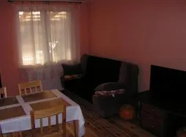 Winnica Na Leśnej Polanie