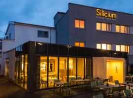 Hotel Silicium, hotel with parking in Höhr-Grenzhausen