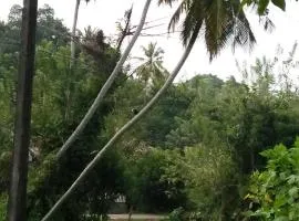 Jungle view one bedroom private apartment