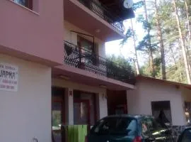 Family Hotel Shisharka