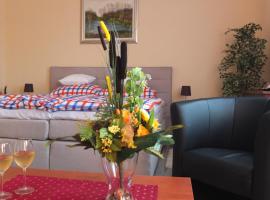 Country House Baranjski Tulipan, feriebolig i Draž