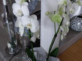 L'Orchidée – obiekty na wynajem sezonowy w mieście Le Ribay