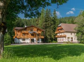 MEINE HEIMAT - Charming Mountain Apartments & Free Summercard, Hotel in Ramsau am Dachstein