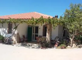 Punteri