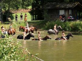 Reiterhof Stöglehner, lavprishotell i Rainbach im Mühlkreis