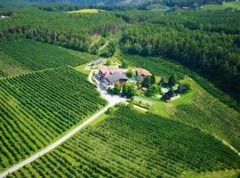 Hotel Flötscherhof, hotel en Naz-Sciaves