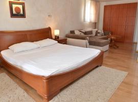 Apartment and Rooms In Club，Inđija的飯店