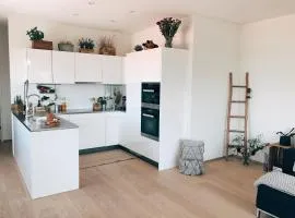 AVLiving City LOFT Basel