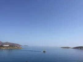 Big Blue New