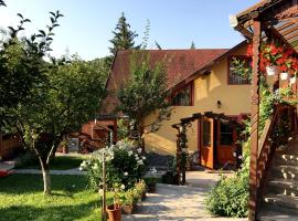 Pensiunea Gentiana, bed and breakfast en Izvoru Mureşului