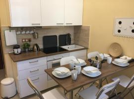 Entire luxury apartment in the city center