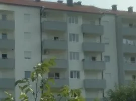 Apartman Pažin