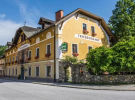 Triebenerhof, hotel v destinaci Trieben