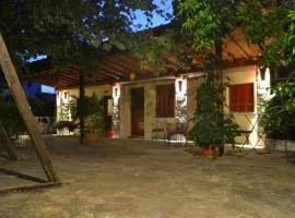 Chouchounikos Apartments