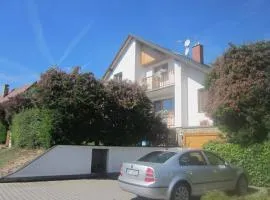 Apartman Aneta