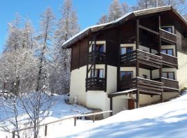 Chalet les arolles, hotel near Bois Long Ski Lift, Les Orres