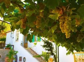 B&B Il Grappolo