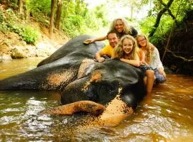 Jungle Village Homestay
