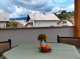 Apartment Janja