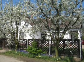 Nagy Vendégházak, hotel di Nagykörů