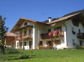 Stifterhof, farm stay in Villabassa