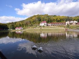 MishyN-City Hotel, hotel in Dobrovlyany