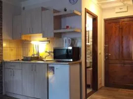 Apartment Sofi Yeti